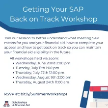 Getting Your SAP Back on Track Flyer
